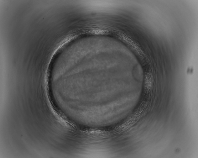 X0000097910730200804041501