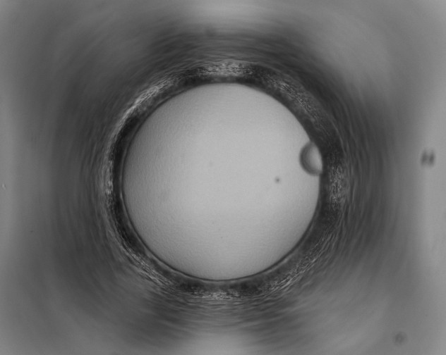 X0000097910731200804041501