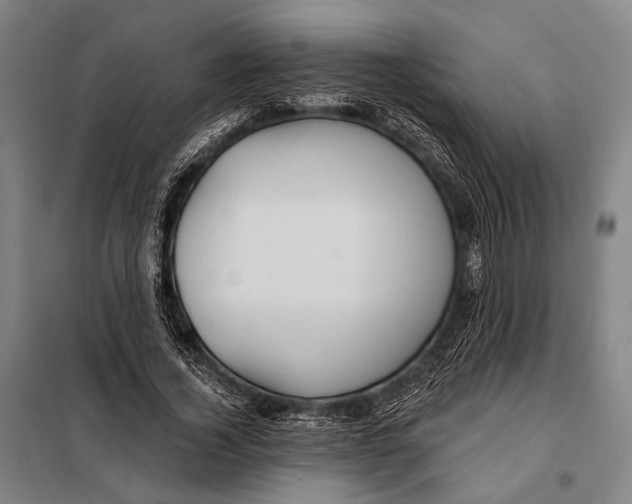 X0000097910732200804041501