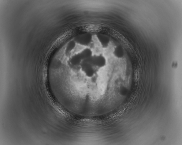 X0000097910733200804041501