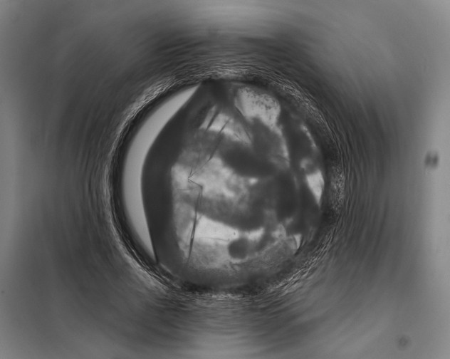 X0000097910734200804041501