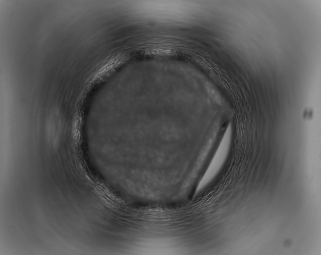 X0000097910735200804041501