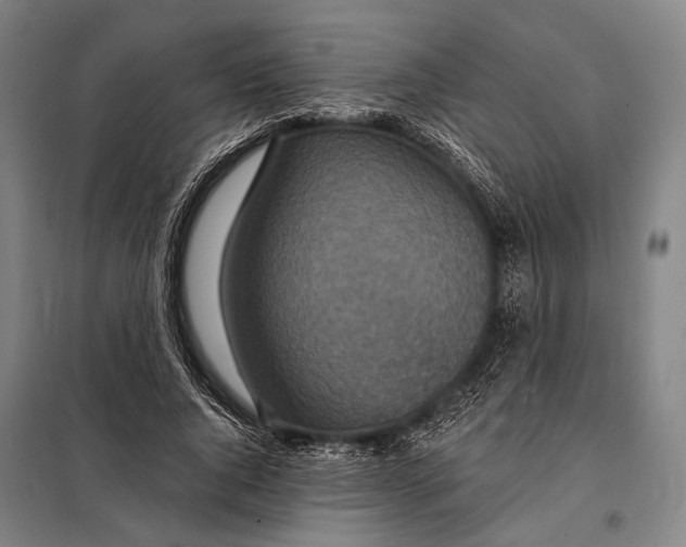 X0000097910736200804041501