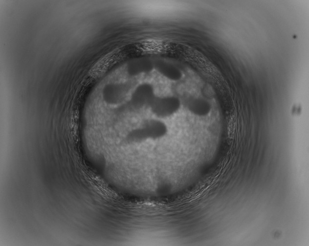 X0000097910737200804041501