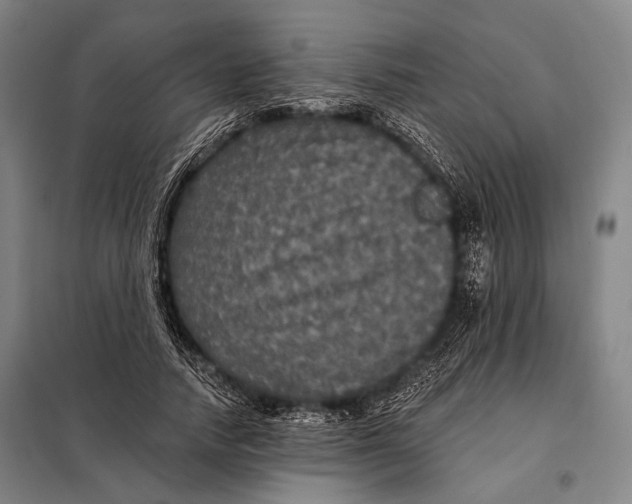 X0000097910738200804041501