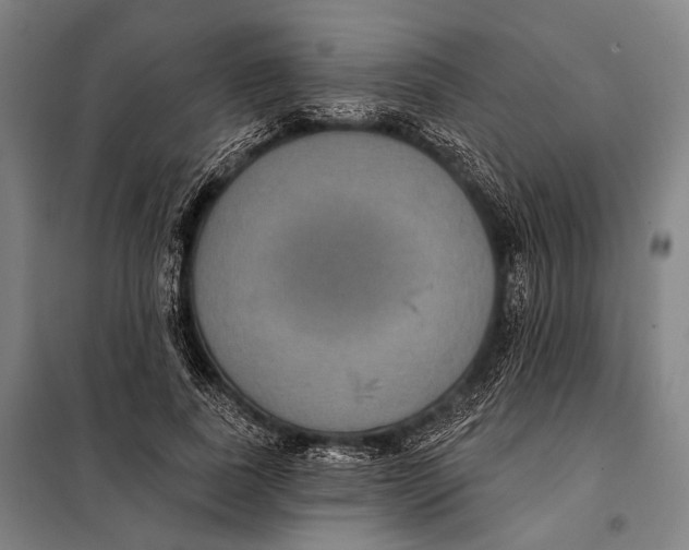 X0000097910739200804041501