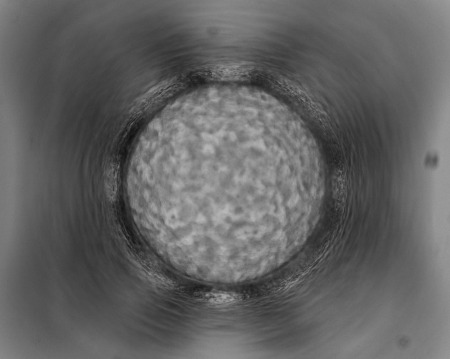 X0000097910741200804041501