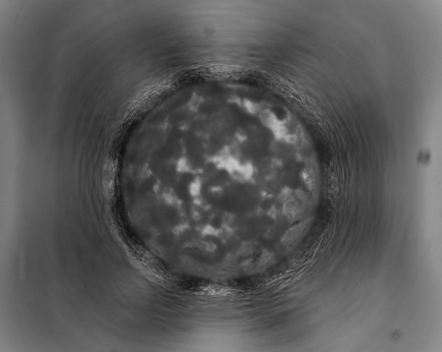 X0000097910742200804041501