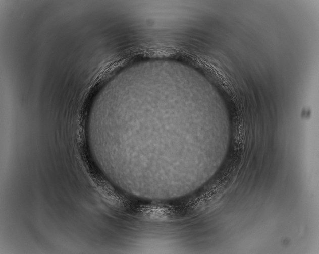 X0000097910743200804041501