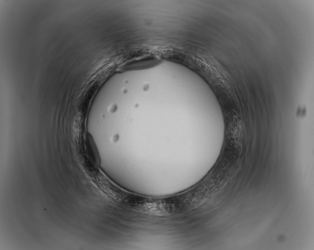 X0000097910744200804041501