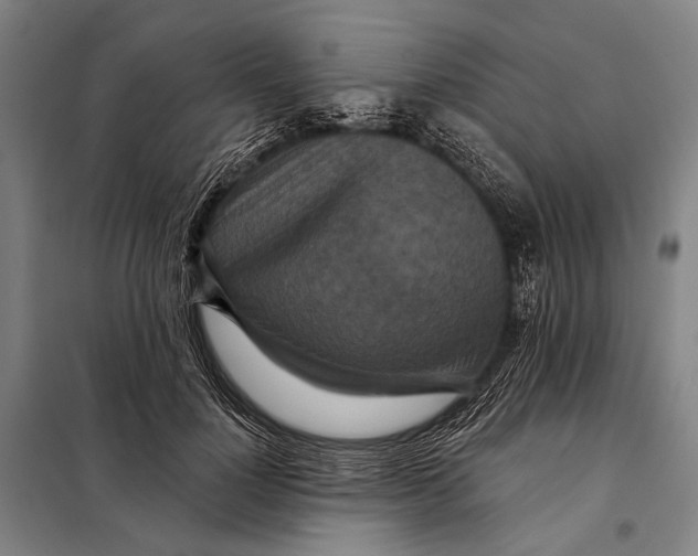 X0000097910748200804041501