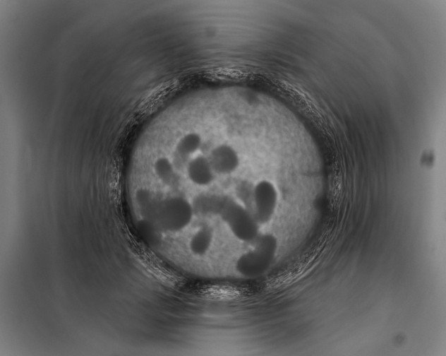 X0000097910749200804041501