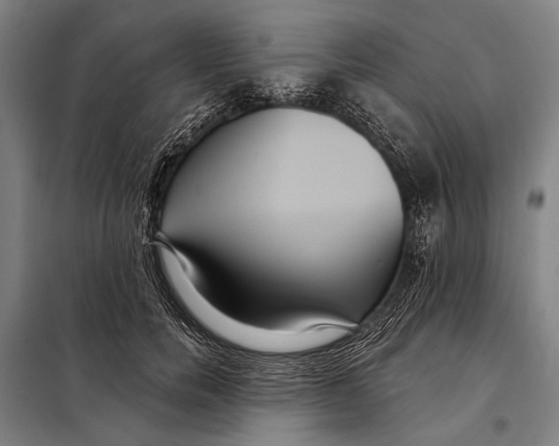 X0000097910750200804041501