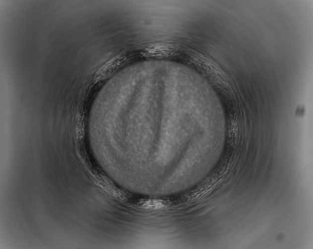 X0000097910751200804041501