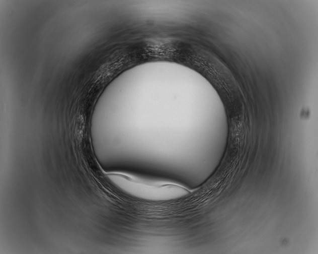 X0000097910752200804041501