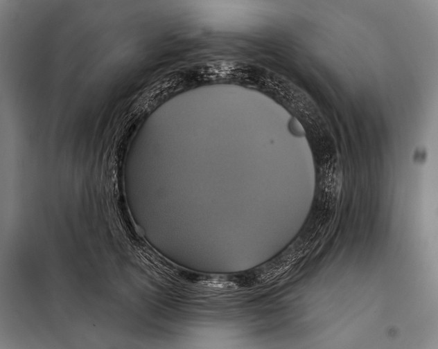 X0000097910754200804041501