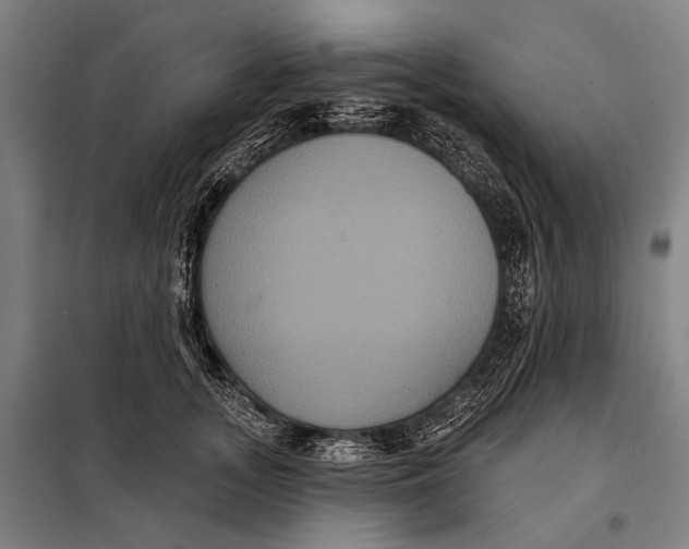 X0000097910755200804041501