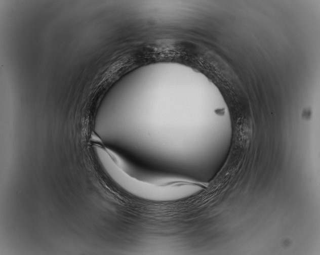 X0000097910756200804041501