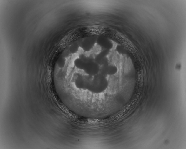 X0000097910757200804041501