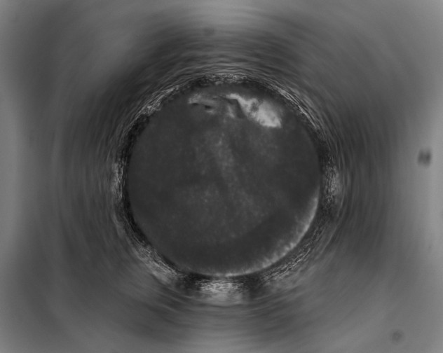 X0000097910759200804041501