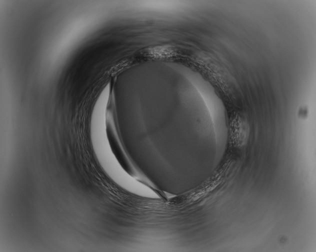 X0000097910762200804041501