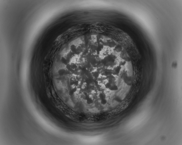 X0000097910765200804041501