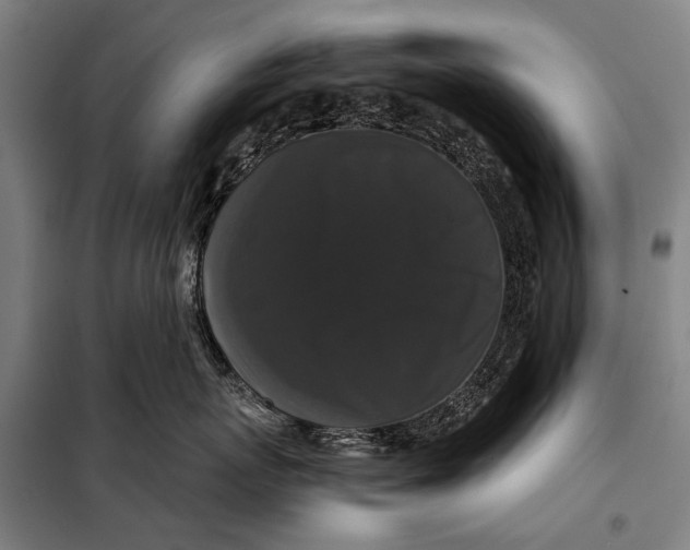 X0000097910767200804041501