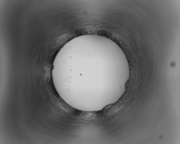 X0000097910768200804041501