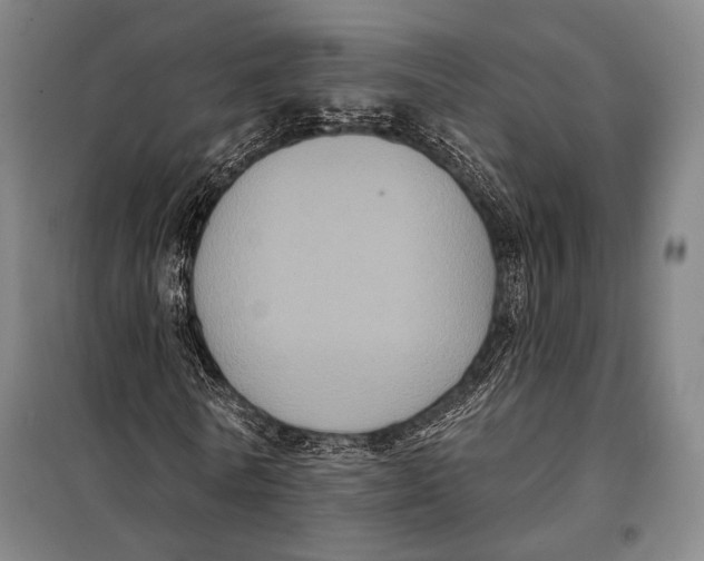 X0000097910770200804041500