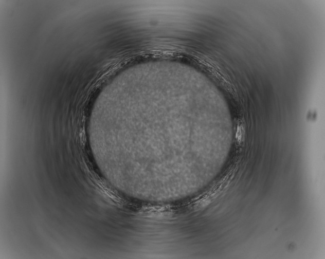 X0000097910771200804041500