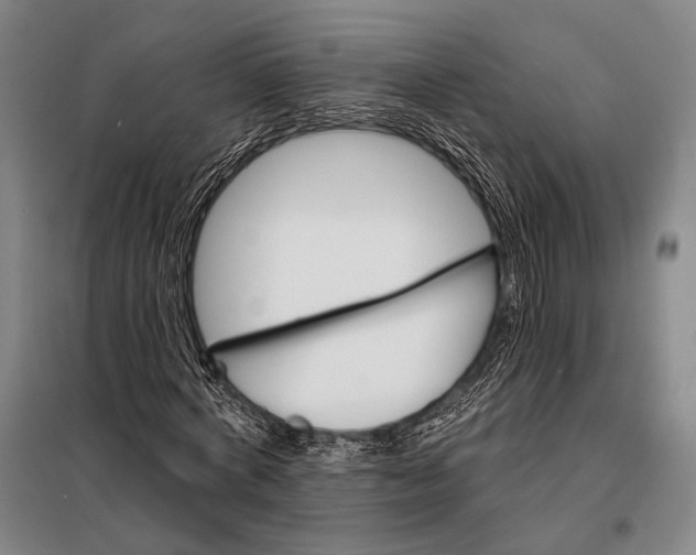 X0000097910772200804041500