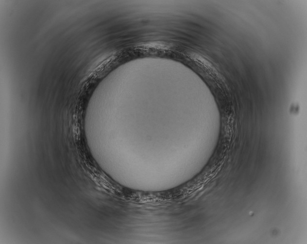 X0000097910774200804041500