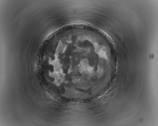 X0000097910775200804041500