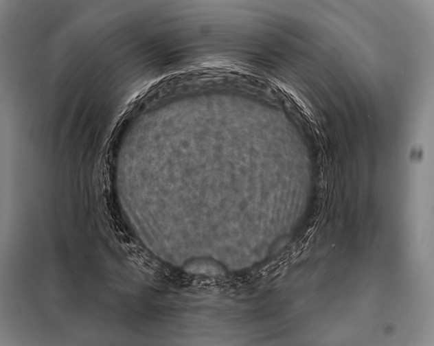 X0000097910776200804041500