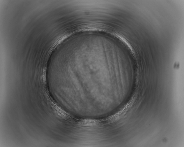 X0000097910777200804041500