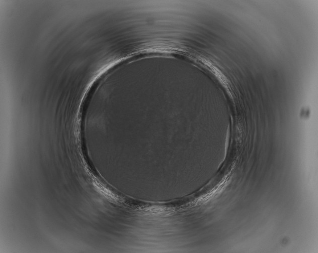 X0000097910779200804041500