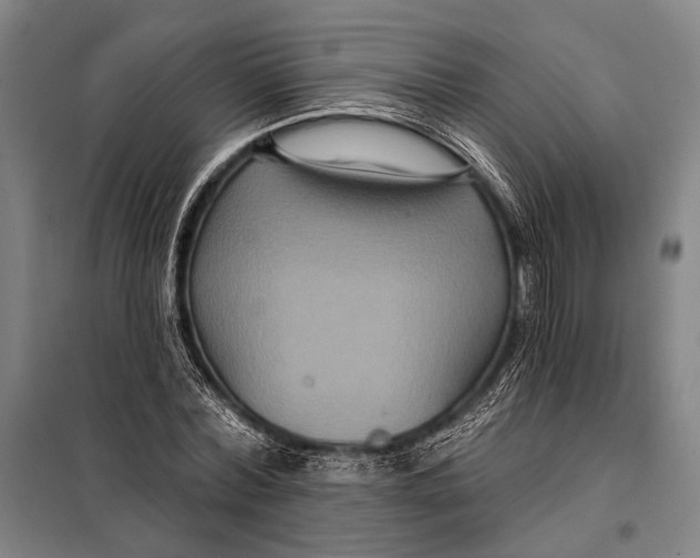 X0000097910780200804041500