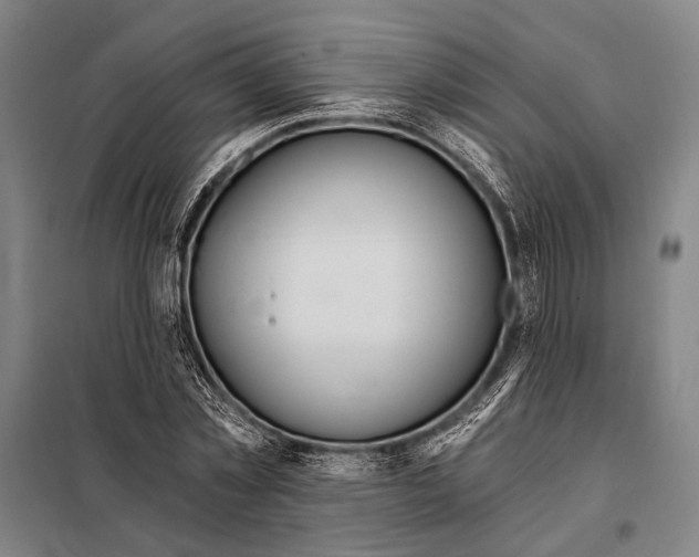 X0000097910781200804041500