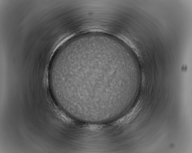 X0000097910782200804041500