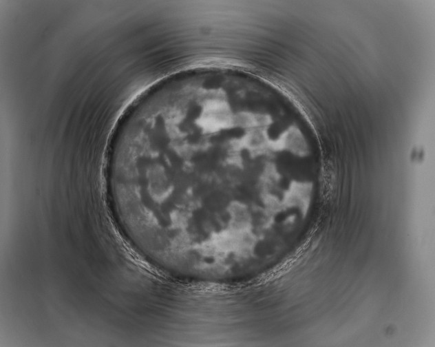 X0000097910783200804041500