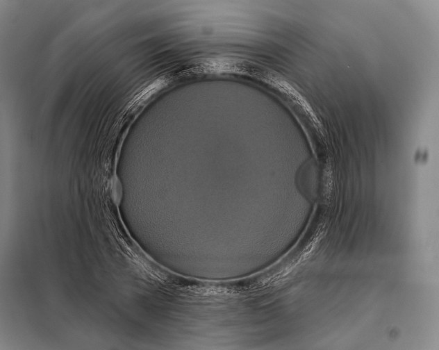 X0000097910785200804041500