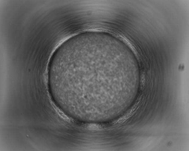 X0000097910787200804041500