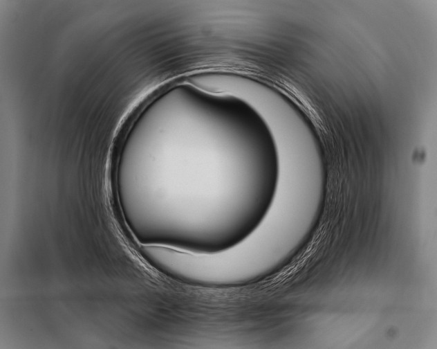 X0000097910788200804041500