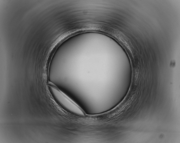 X0000097910789200804041500