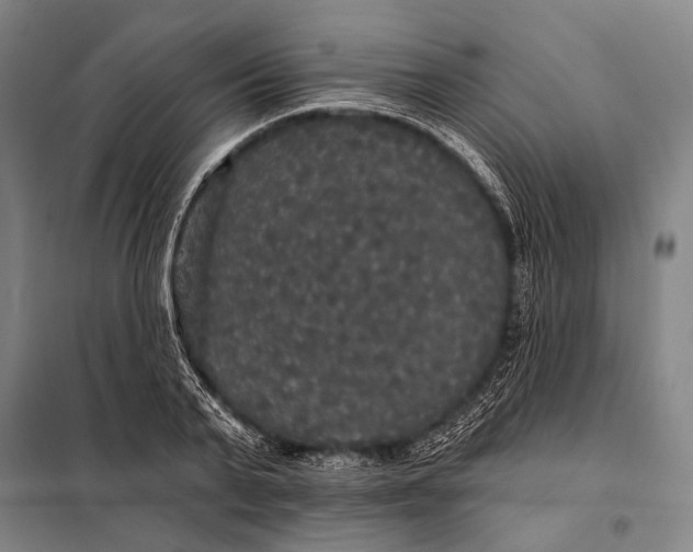 X0000097910791200804041500