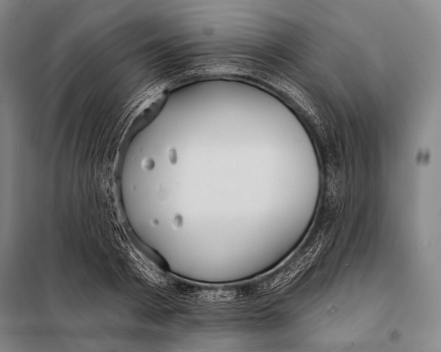 X0000097910793200804041500