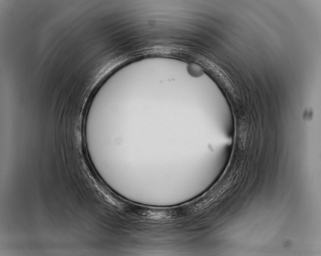 X0000097910794200804041500