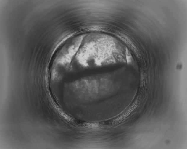 X0000097910798200804041500