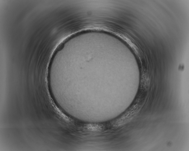 X0000097910799200804041500