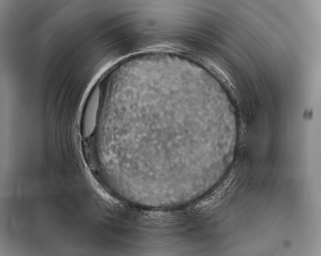 X0000097910800200804041500